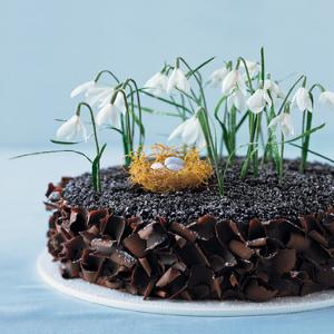 Chocolate Cake with Crepe Paper Flowers and a Phyllo Nest image