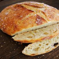 No-Knead Crusty Artisan Bread Recipe - (4.1/5)_image
