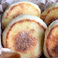 Quick English Muffins Recipe - (4/5) image