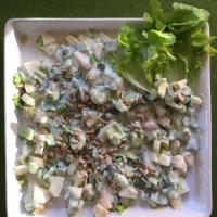 Apple-Celery Salad with Yogurt Dressing_image