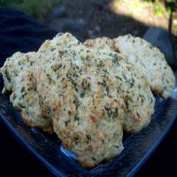 Bisquick Cheese Bread or Biscuits (Like Red Lobster!)_image
