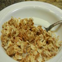 Budget-Friendly Homemade Cereal image