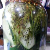 HOT DILL PICKLES_image