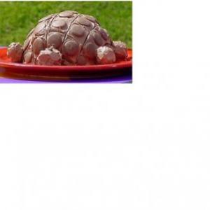 Tortoise Cake_image