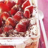 Strawberry Shortcake 'Tiramisu'_image