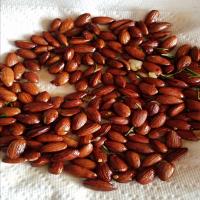Rosemary and Garlic Infused Oven Roasted Almonds_image