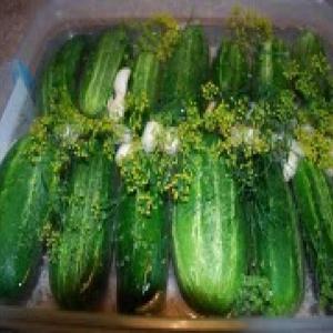 Fermented Dill Pickles - Refrigerated 
