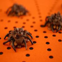 Pecan-Caramel Spiders_image