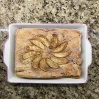 Moist Passover Apple Cake_image