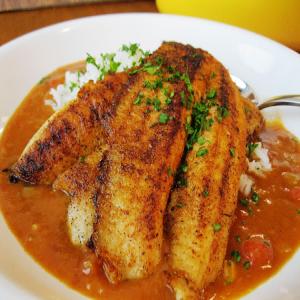 Creole Redfish Court-bouillon_image