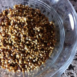 Toasted Quinoa Granola_image