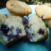 Very Berry Blueberry Muffins_image