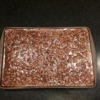 Old Southern Chocolate Pecan Sheet Cake_image
