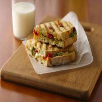 Fontina Panini with Spinach image