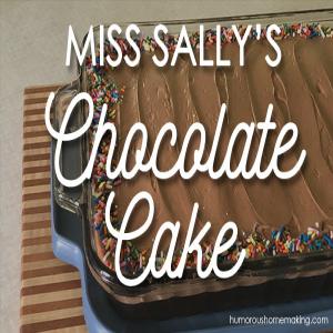 Miss Sally's Chocolate Cake_image