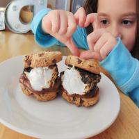 Chocolate Overload S'mores_image