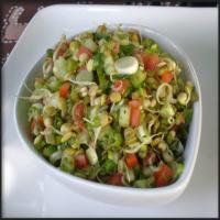 Indian Sprouted Lentil Salad image