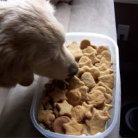 Good Dog Cookies image