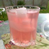 Summer Iced Rhubarb Tea_image