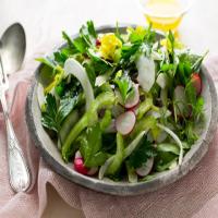 Radish and Herb Salad with Meyer Lemon Dressing image