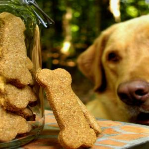 Special Occasion Dog Bones / Biscuits_image