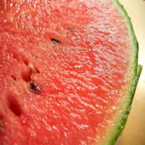 Watermelon with Toasted Fennel Salt Recipe_image
