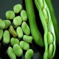 Meze Fava Beans_image