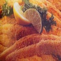 Fried Catfish Fillets_image