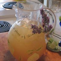 Lavender Lemonade Tea - Hot or Iced image