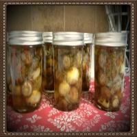 Laurel's Marinated Mushrooms (Easy Canning) image