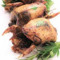 Herb Roasted Pigeon_image