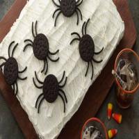 Spider Web Cake image