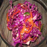 Red Cabbage Salad With Feta Cheese and Olives_image