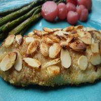 Oven Baked Almond Crusted Catfish Fillets image