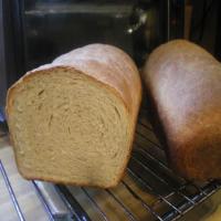 My Everyday Bread_image