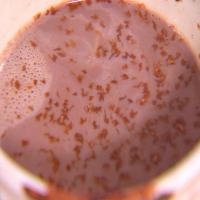 Ginger Spiced Hot Cocoa_image