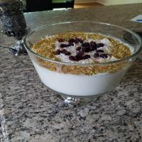 Mahalabia (Middle Eastern-Style Milk Pudding)_image
