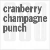 Cranberry Champagne Punch_image