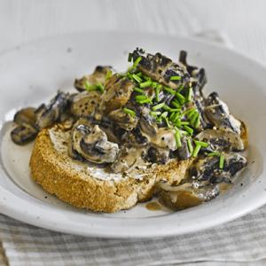 Creamy mustard mushrooms on toast with a glass of juice_image