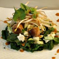 Asian Salad with Wasabi Dressing_image