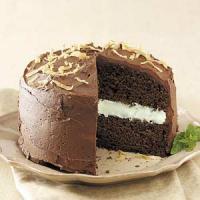 Coconut-Mint Chocolate Cake_image