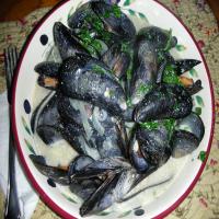 Steamed Fresh Mussels in a Creamy Broth image