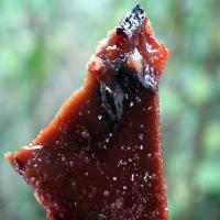 Candied Bacon Toffee Recipe - (4.7/5)_image