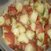 Great Grandma's German Potato Salad_image