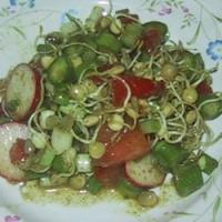 Sprouted Lentil Salad_image