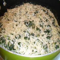 Angel Hair with Garlic Spinach and White Beans image