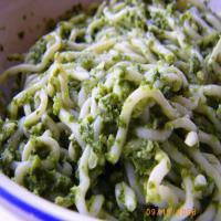 Easy Pesto Shirataki Noodles image