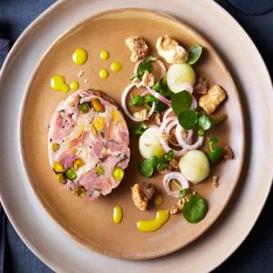 Ham hock & pistachio roll image