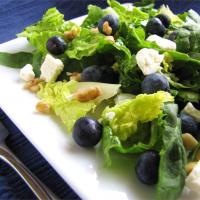 Blueberry Walnut Salad_image