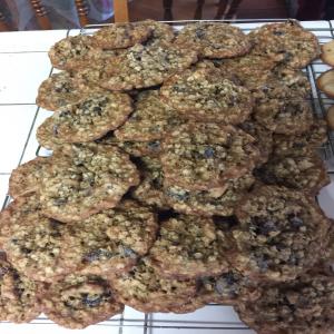 Dried Cranberry-Walnut Oatmeal Cookies image